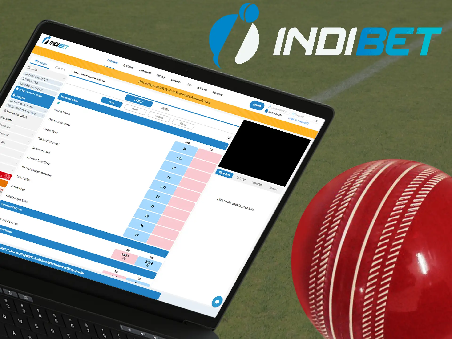Follow your favorite cricket teams and place bets on Indibet!