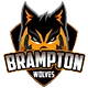 Team logo