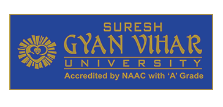 Rajasthan Royals Official Sponsors List Partners Brand Ambassador Logos On Jerseys Suresh Gyan Vihar University