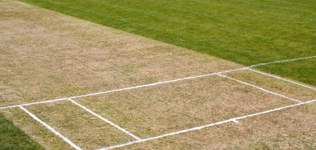Yorkshire County Cricket Club nets Clean Slate Studioz partnership