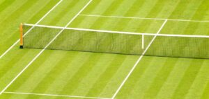 ATP removes Wimbledon ranking points