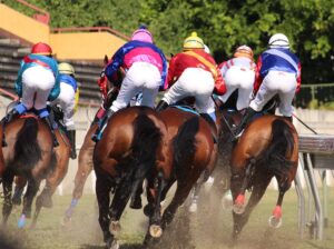 RANKED! – Top 10 Best Racehorses of All Time