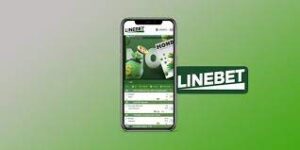 Linebet India Review