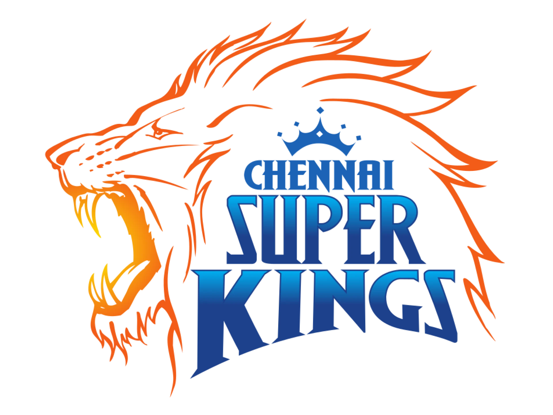 Chennai Super Kings were the winners of the last IPL, try betting on this team.