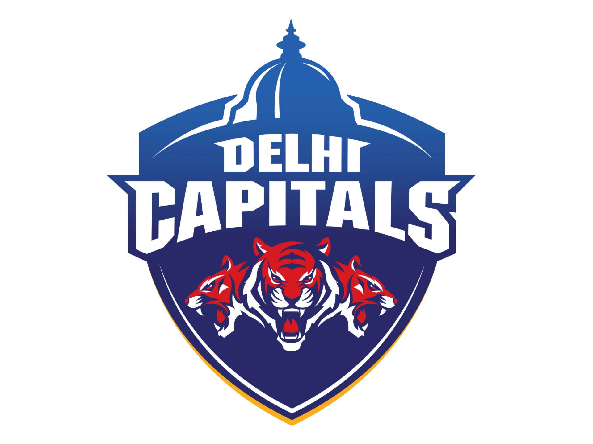 Try betting on Delhi Capitals in IPL.