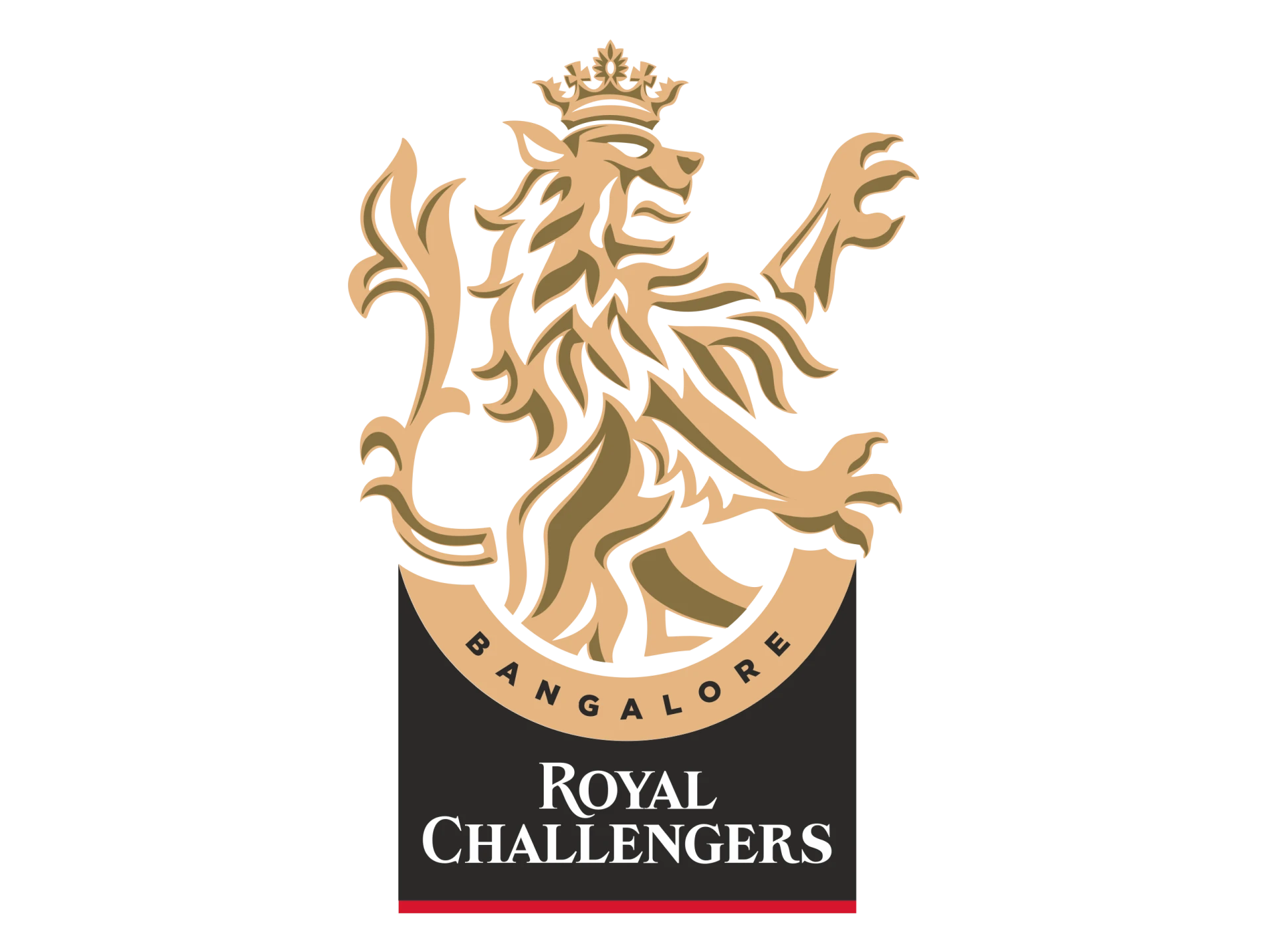 Royal Challengers Bangalore is an up and coming team in the IPL, try betting on them.