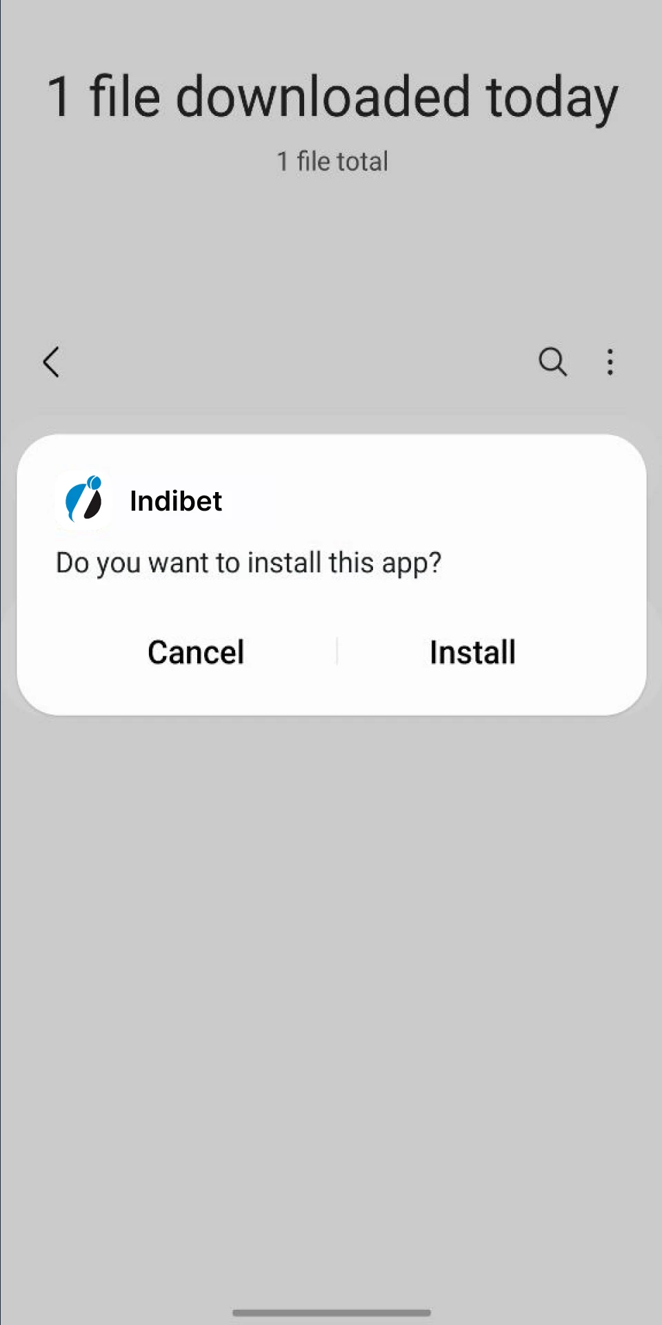 Open the Indibet APK file.