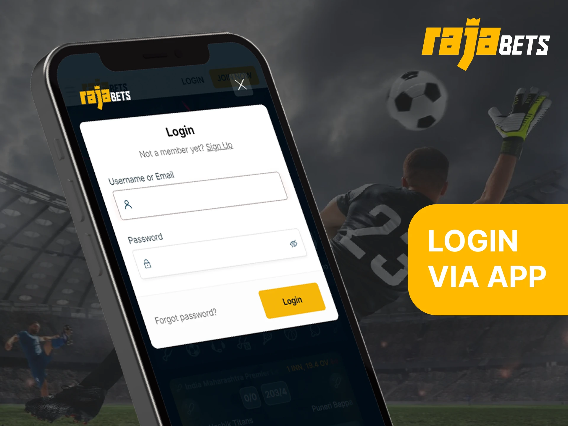 After downloading the Rajabets mobile app, log in to your personal account.