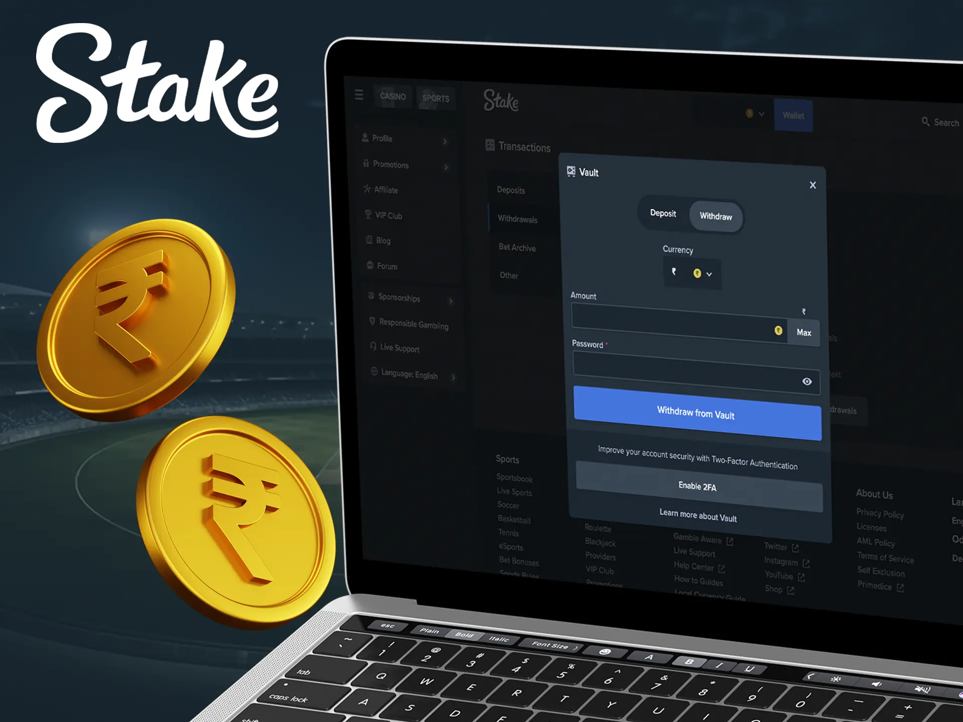 Enter the amount and password to make a quick withdrawal from Stake Casino.