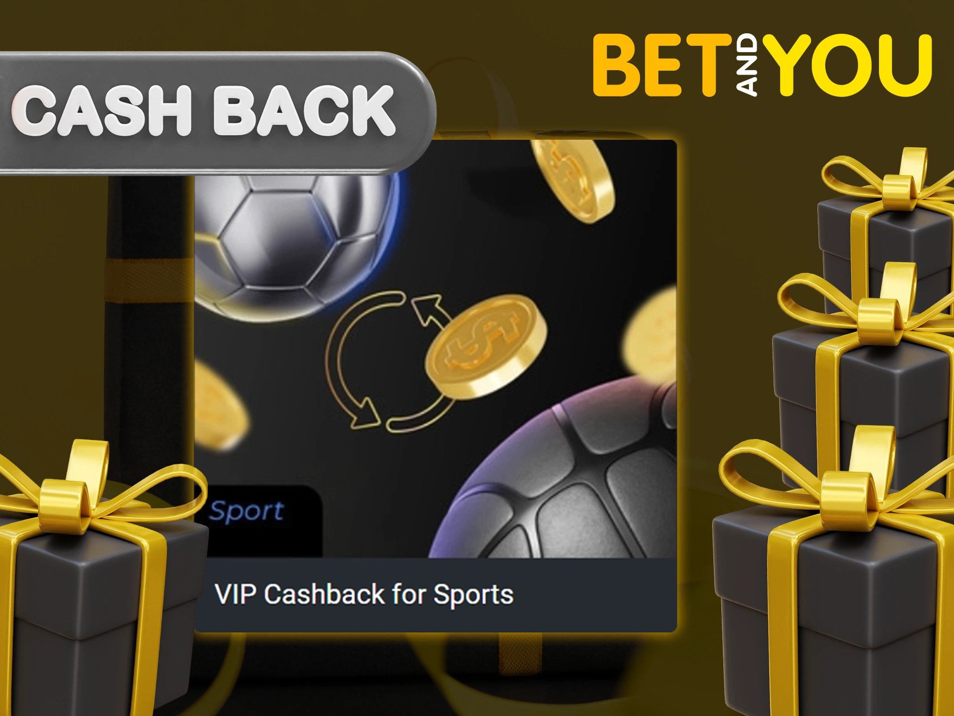 Increase your VIP level at Betandyou and get cashback.