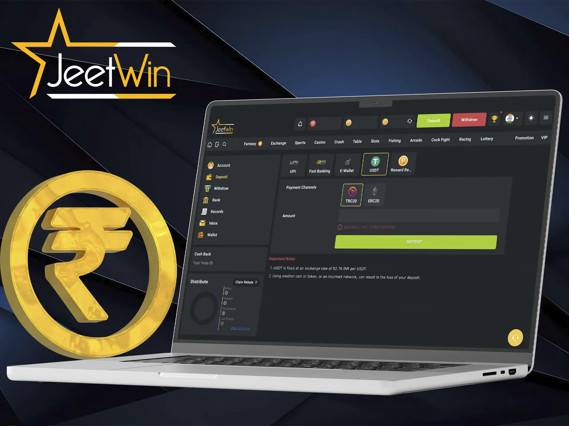 The fastest and most unique payment systems are always available at Jeetwin Casino, including cryptocurrency deposit.