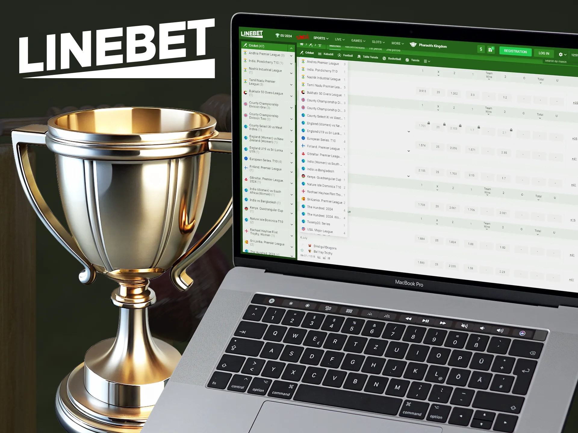 You can bet on all official cricket tournaments at Linebet.