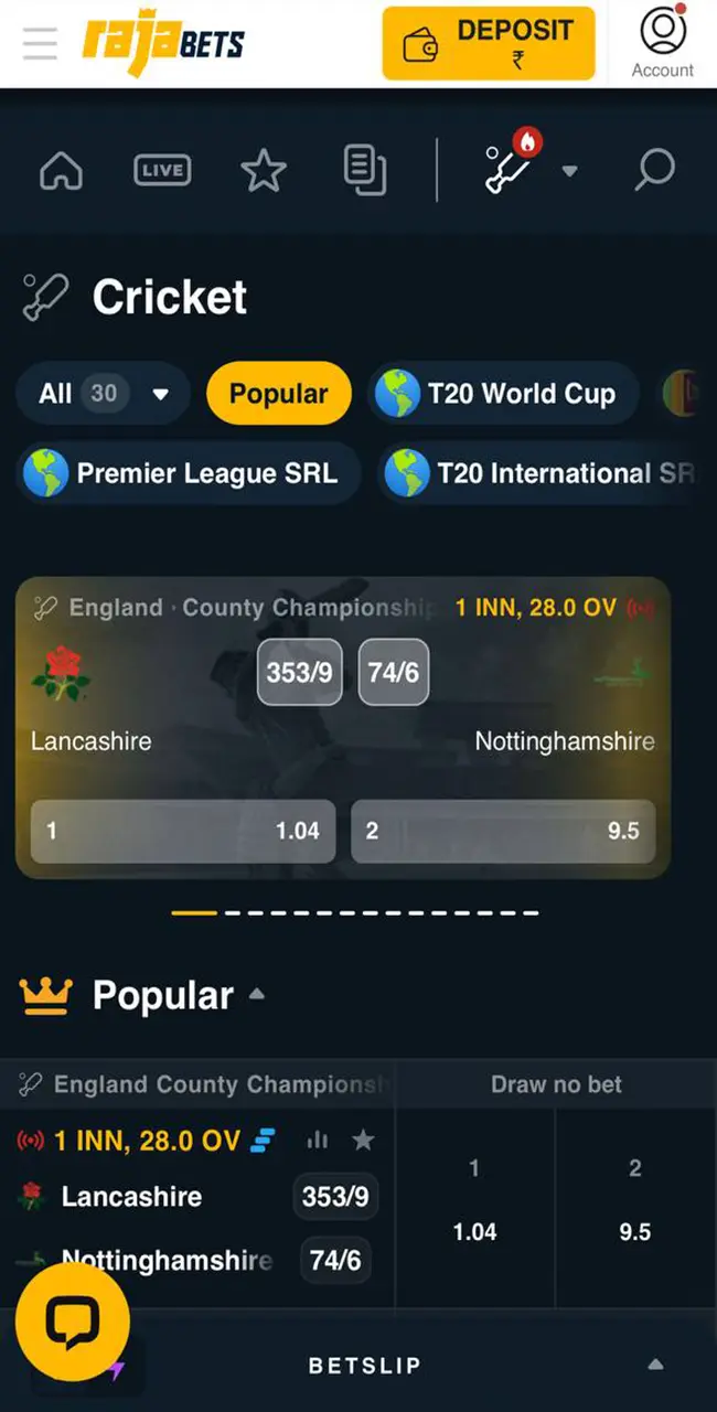 Open the tab in Rajabets with sports disciplines where you will find cricket betting.