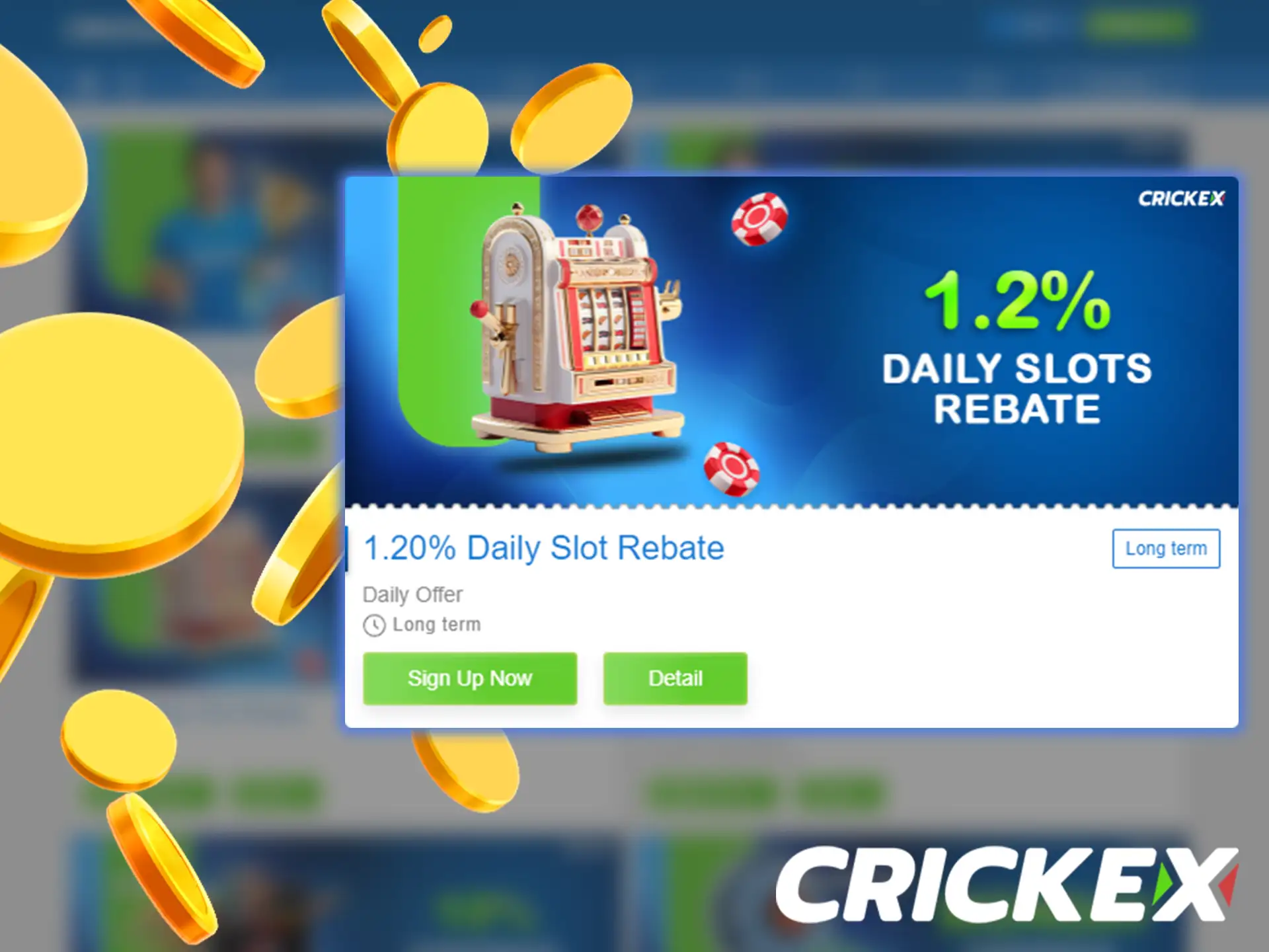 Crickex offers its users 4 daily cashback promotions.