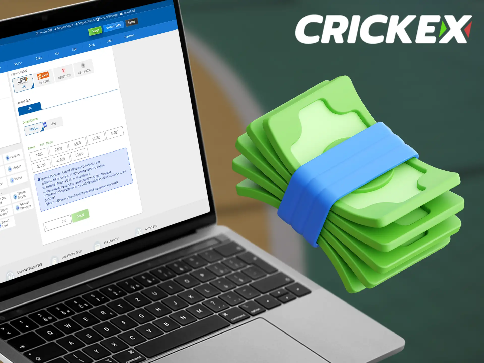 Crickex offers many fast and secure ways to deposit and withdraw.