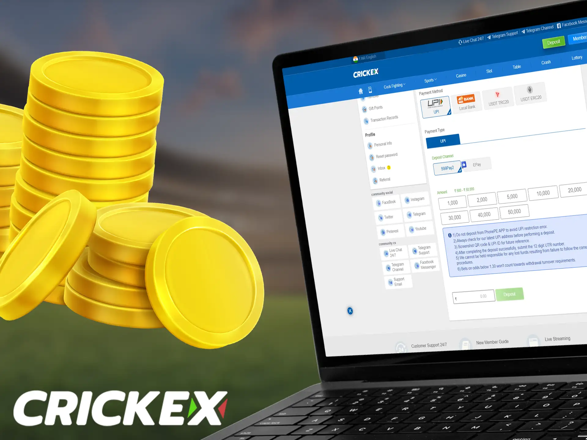 Crickex offers multiple options for easy deposits into your account.