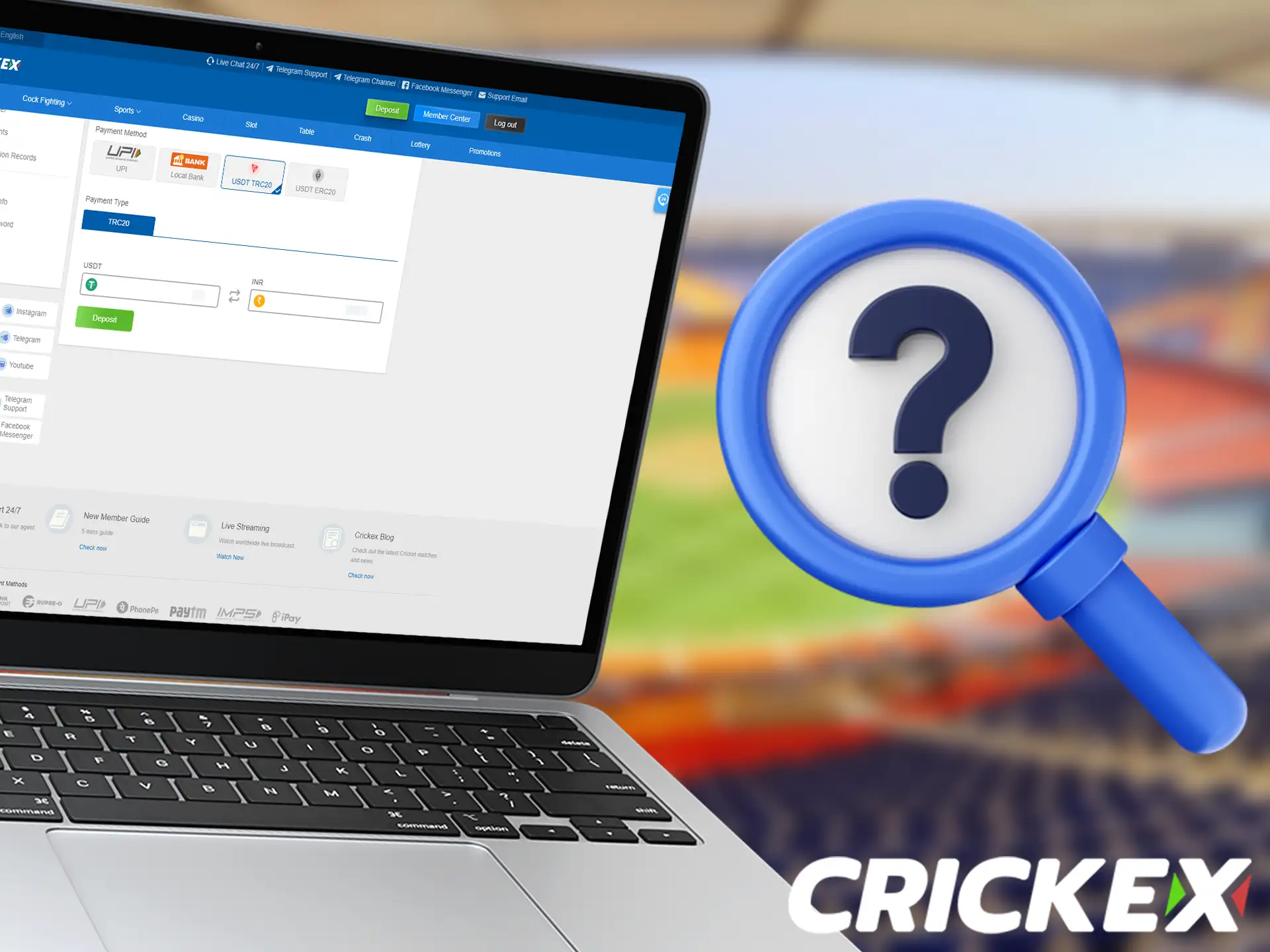 Deposit funds into your Crickex account to start betting.