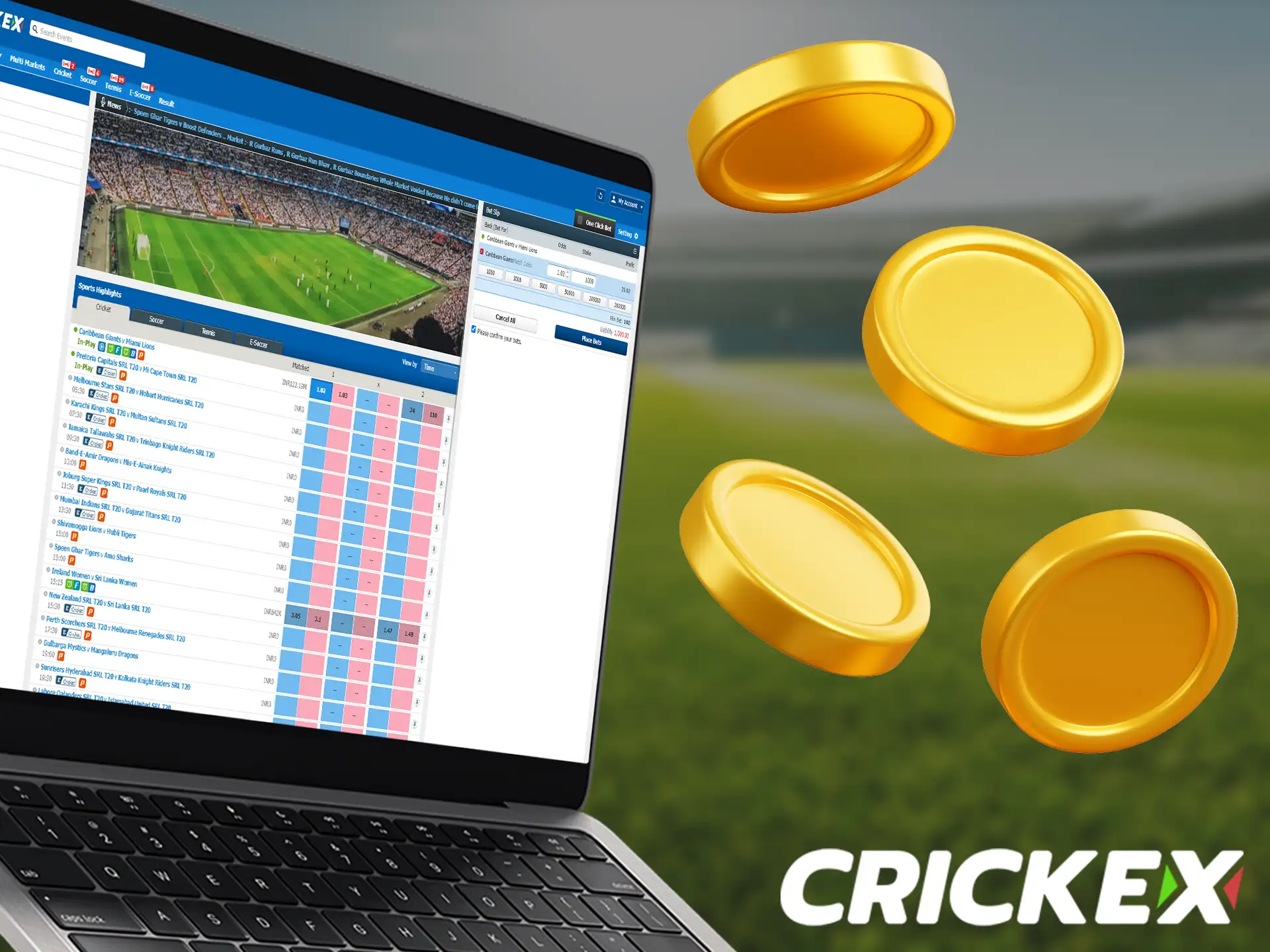 Learn how to start betting after registering with Crickex.