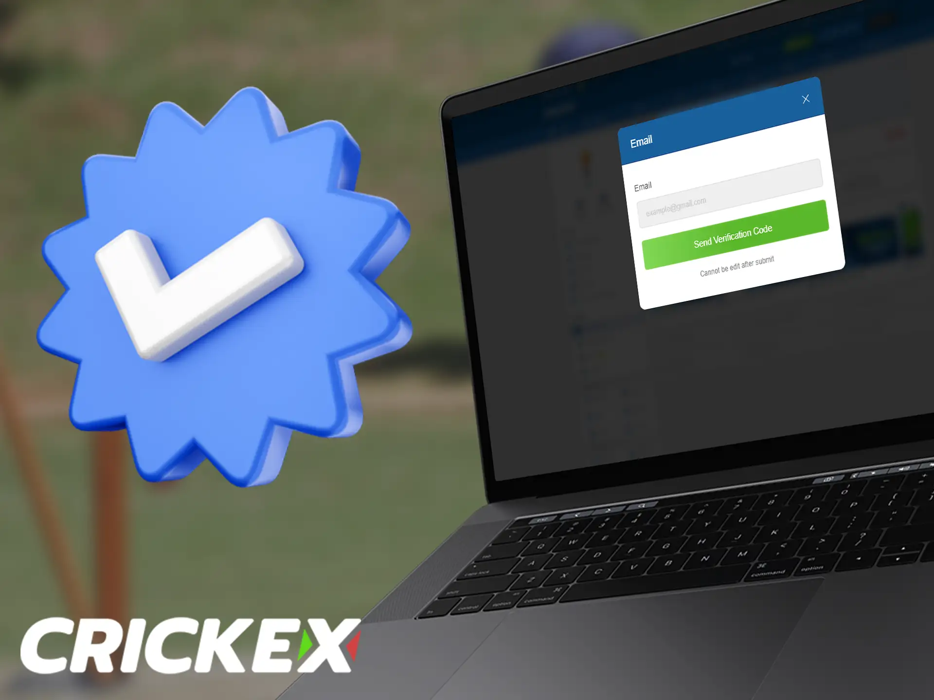 Account verification is required to protect your account and gain access to all Crickex features.