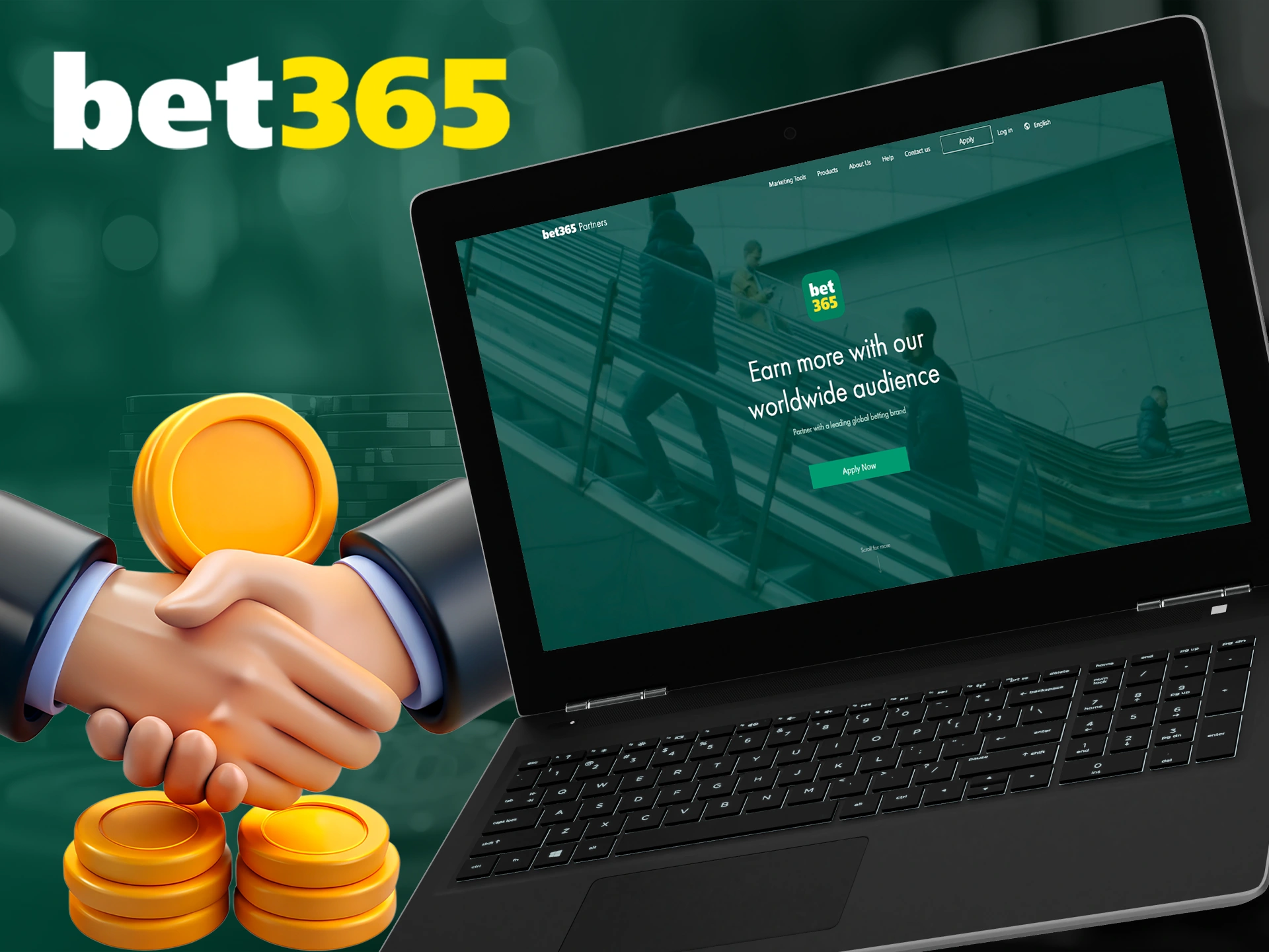 Participate in affiliate program and earn together with bet365.