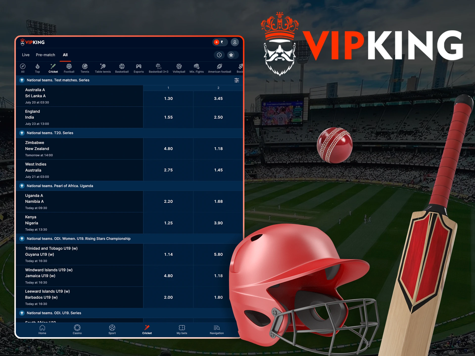 Place your bet on the next cricket event at VipKing.