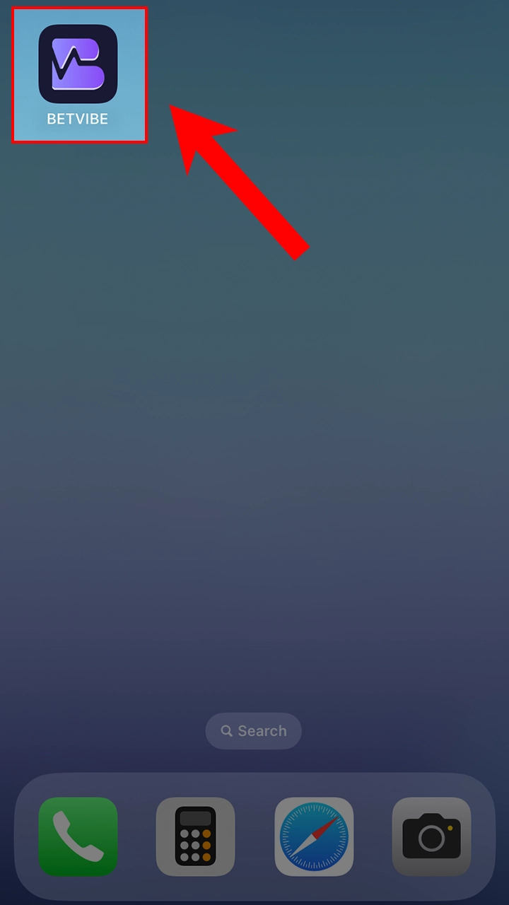 Open the BetVibe app and start winning.