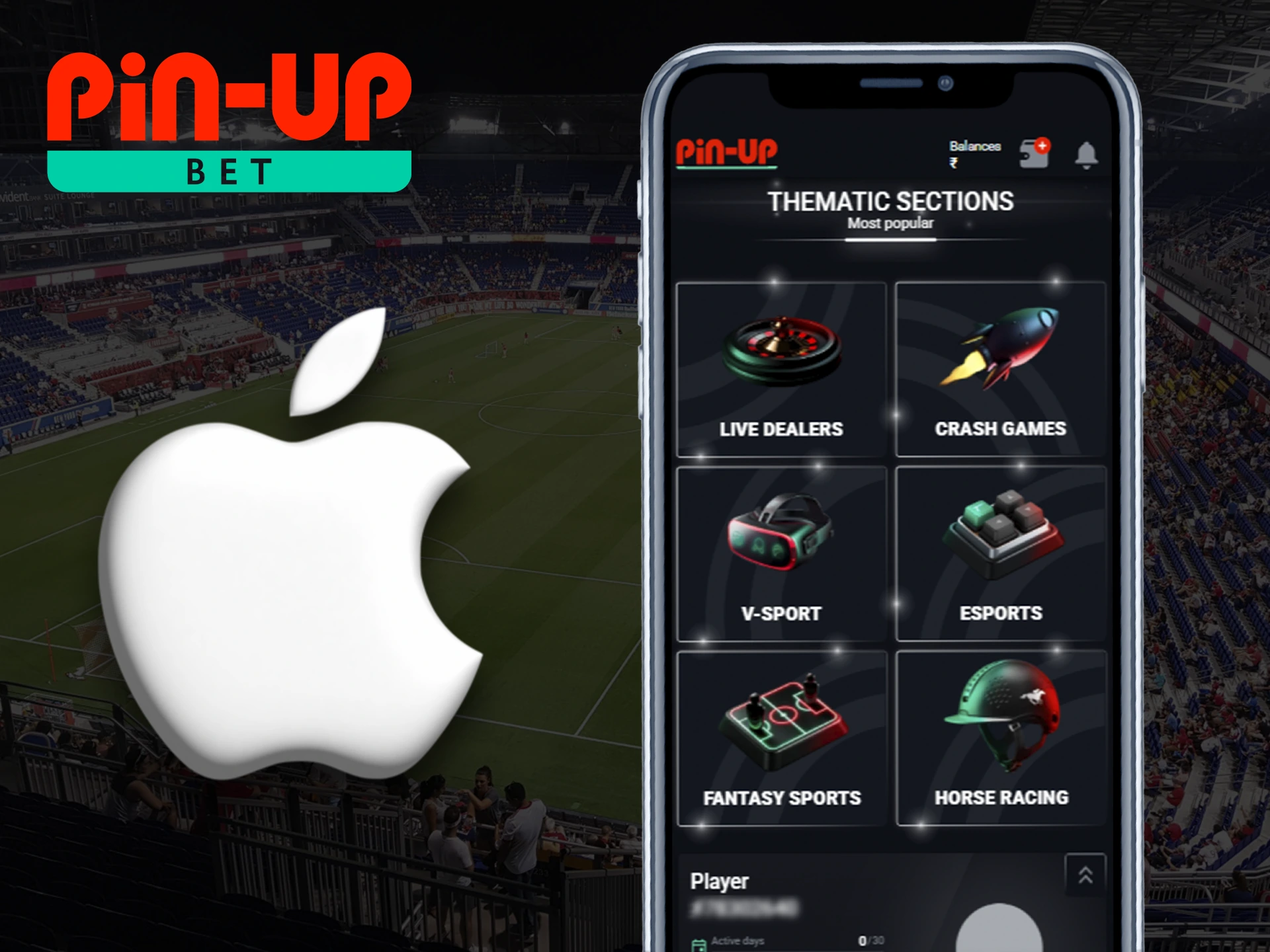 Install the Pin Up app on any available iOS device.