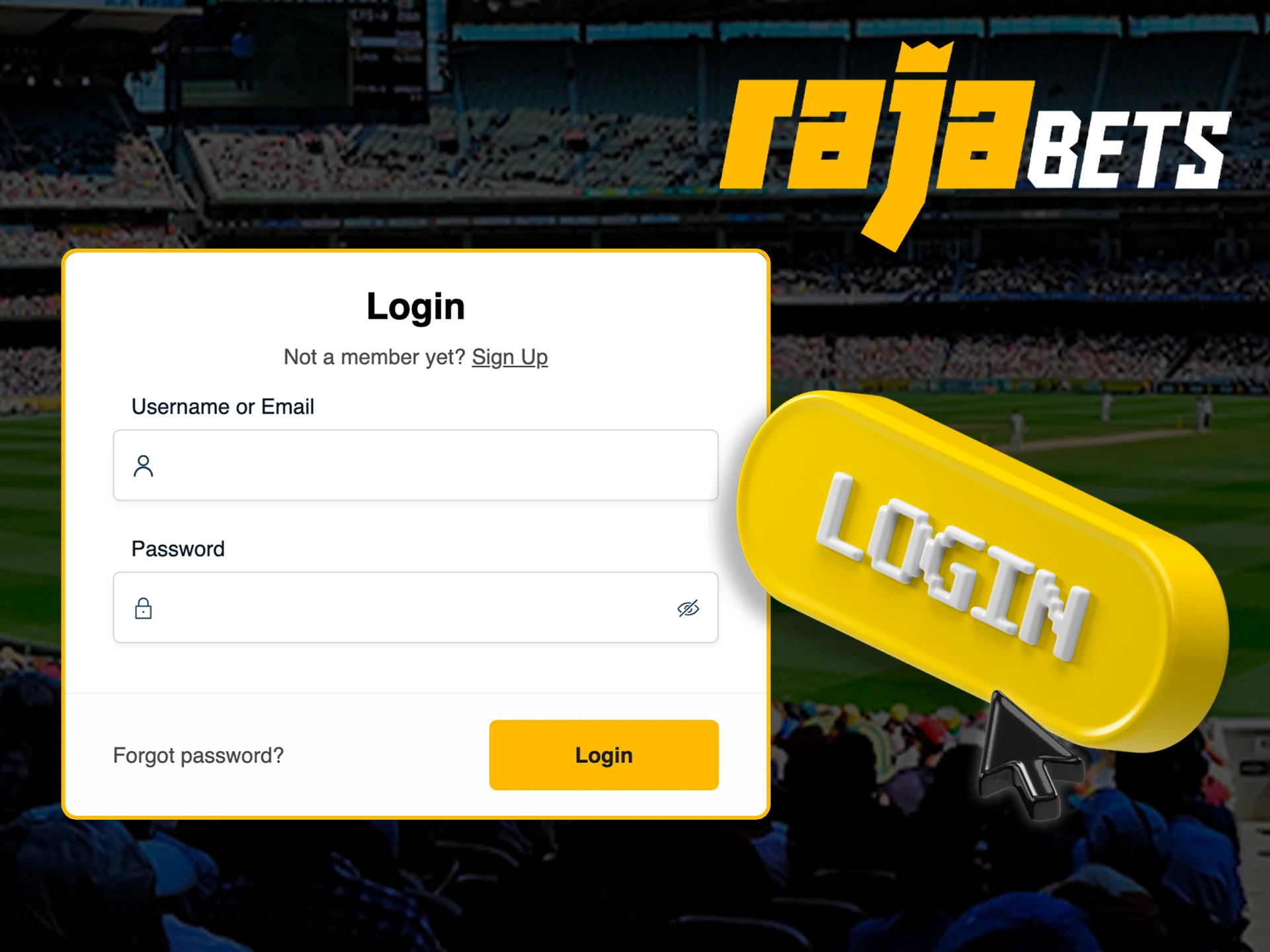 Login to your personal account to start betting at Rajabets.