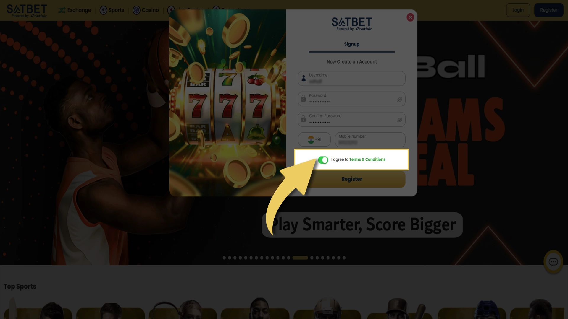 Confirm that you have read the terms and conditions of the game at Satbet.