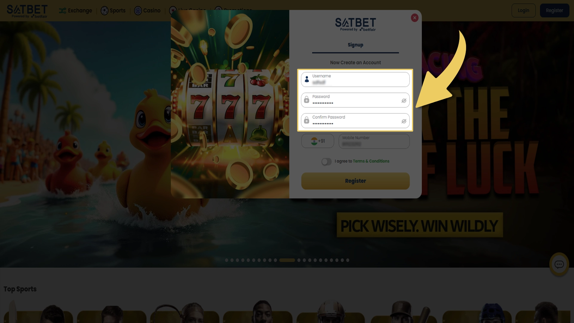 Create a secure login and password to log into your Satbet account.
