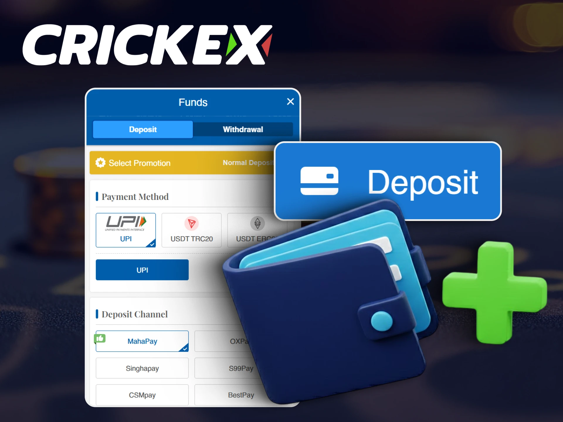 Deposit funds easily using the methods offered by Crickex in India.