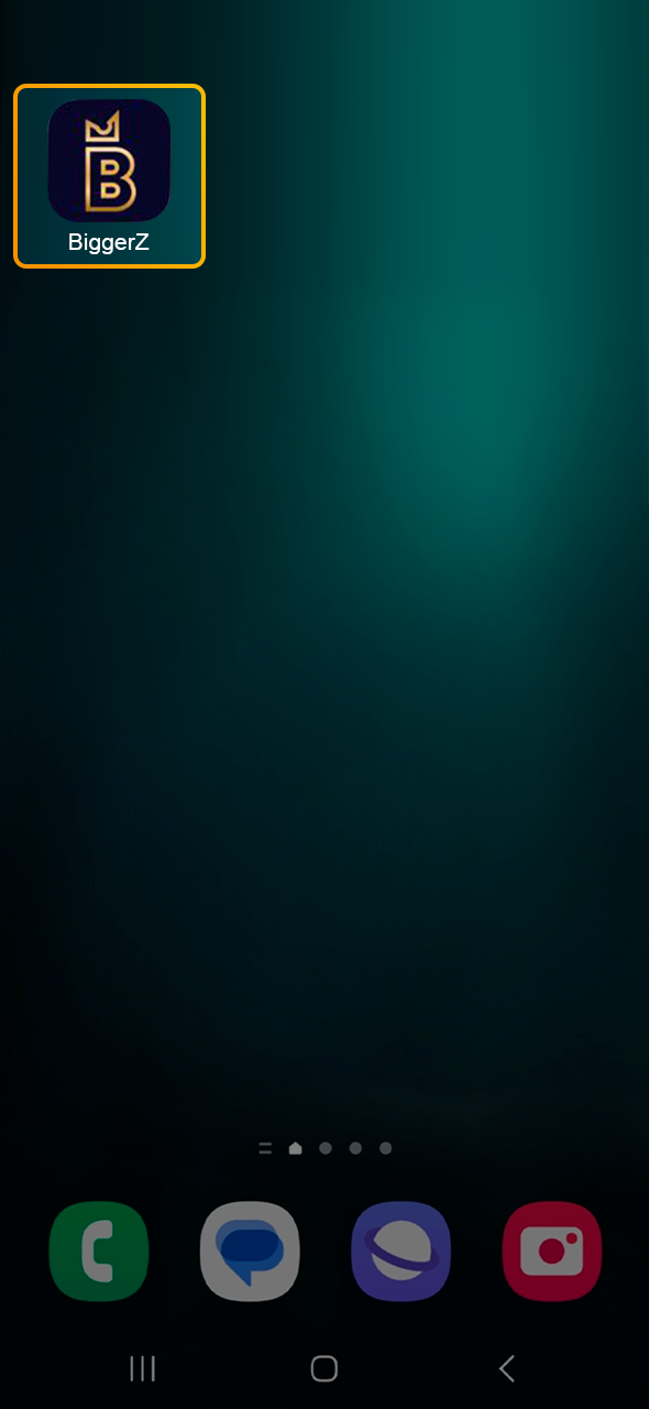 Starting the BiggerZ app and accessing your personal account.