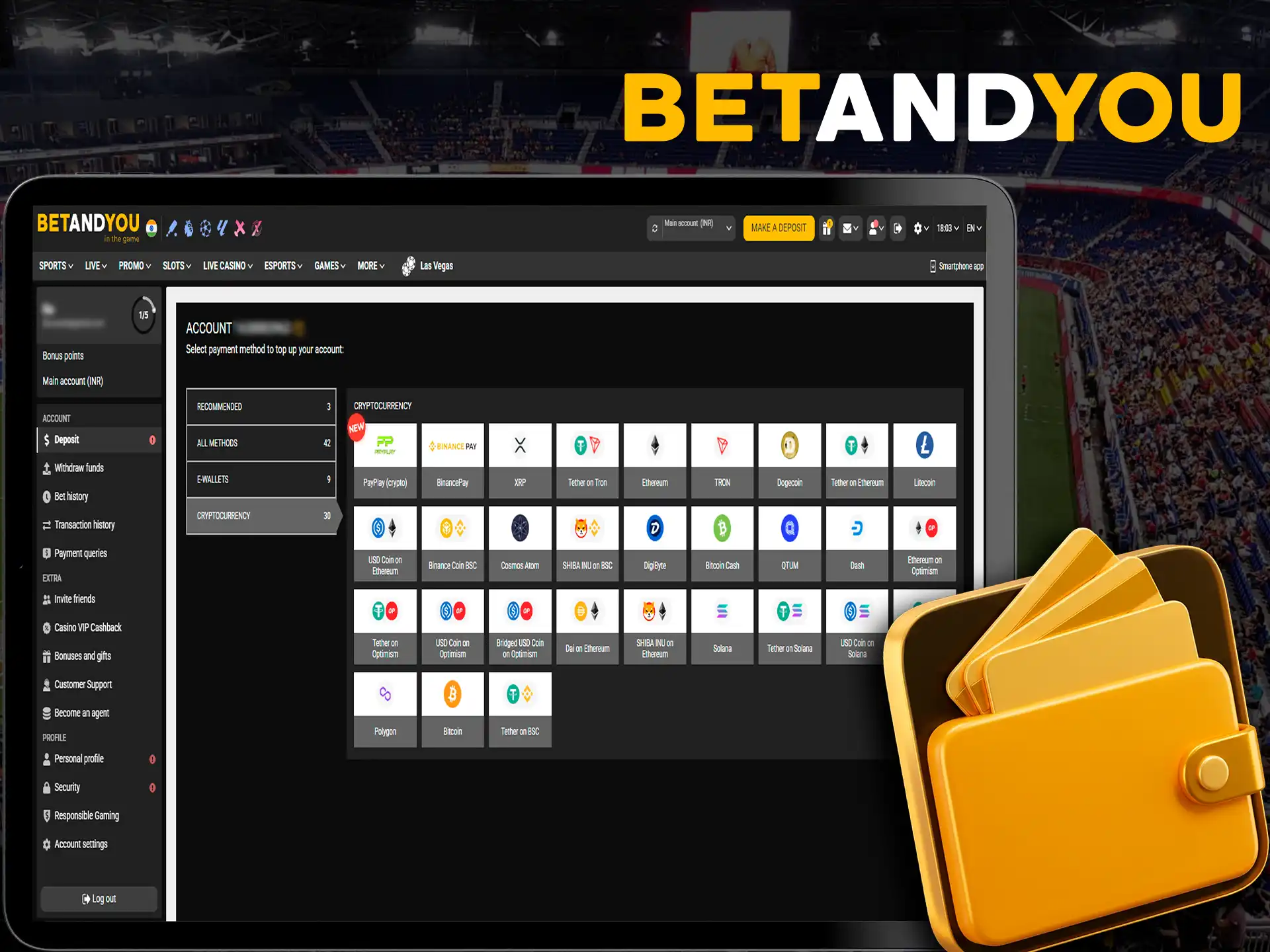 Betandyou offers fast and secure deposit methods.