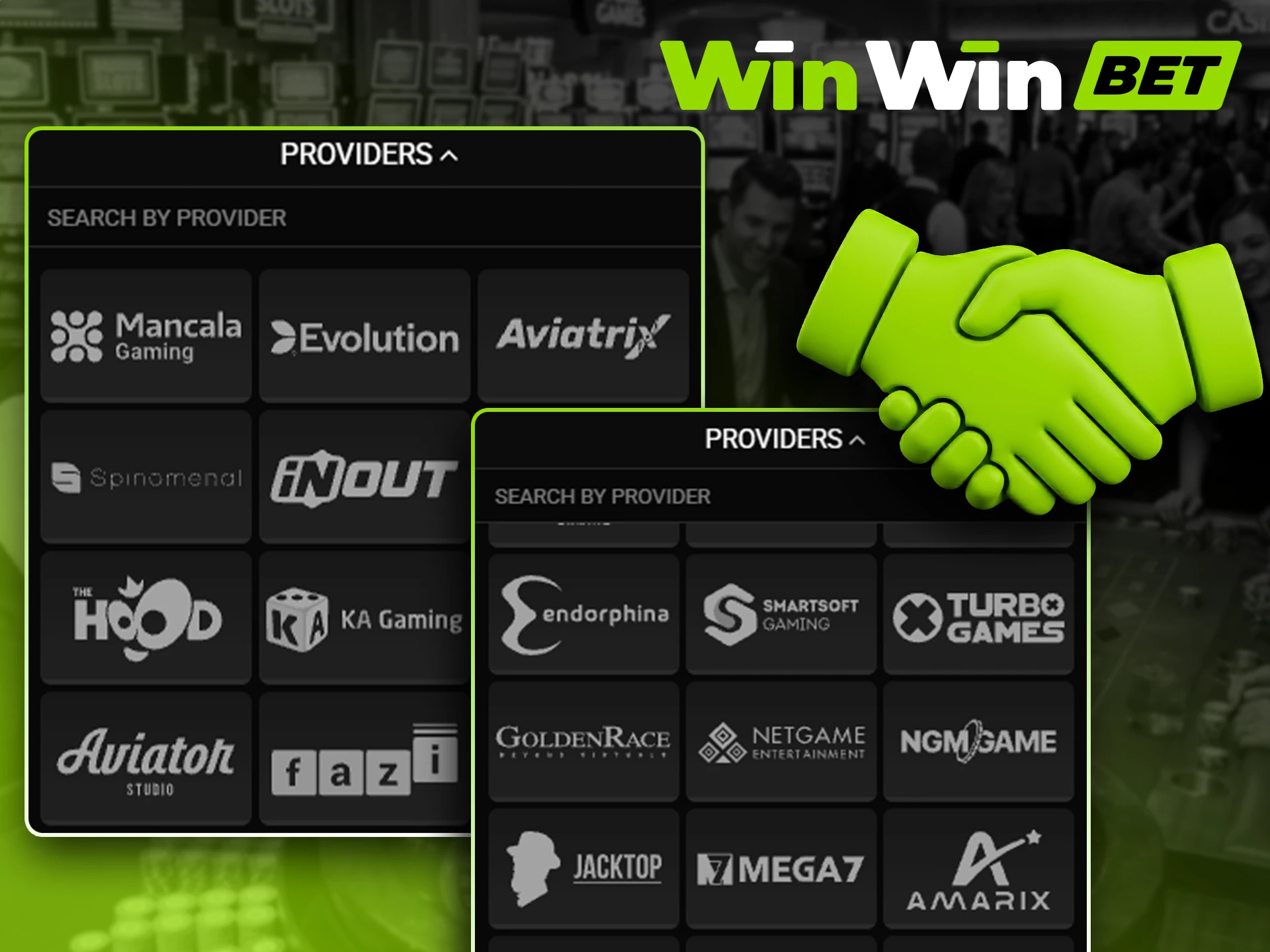 View the top casino game providers featured on WinWin.