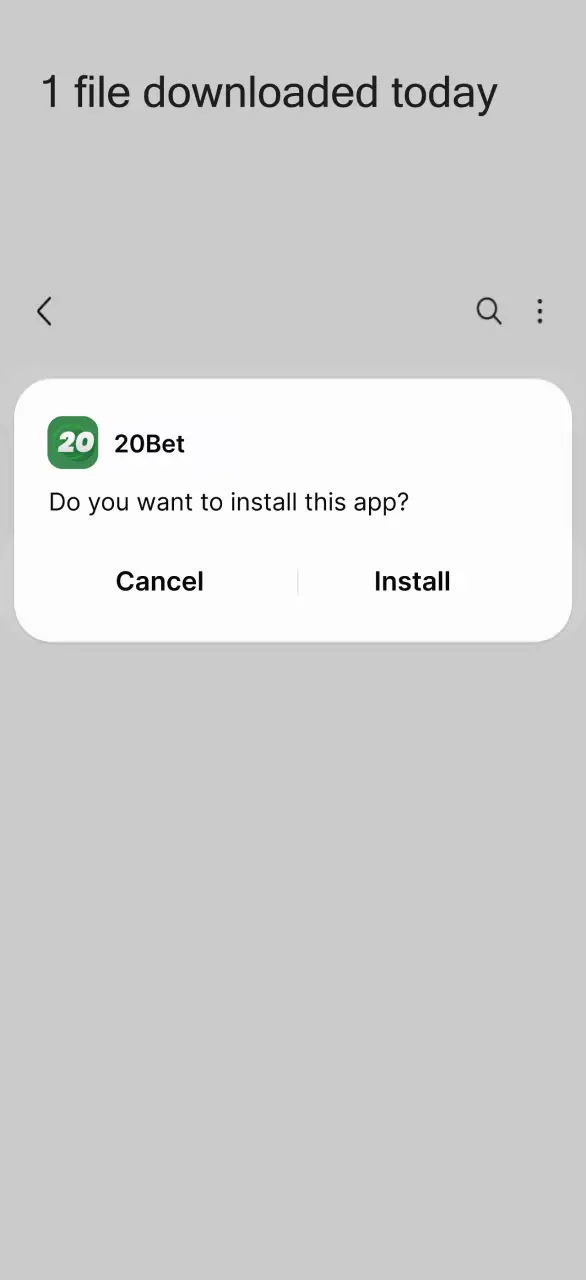 Run the downloaded file to install APK on your Android device.